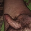 Alex198811zz