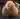 Konal