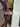 Freesexxx123