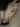 Lfjfjcj