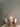 Mikhaiill21