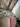 Antoha220876
