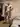 Antoha2226