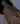 Aleks453aleks896