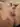 Arkady31