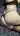 Kostick
