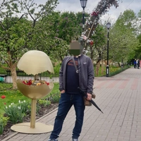 alexxxkomp